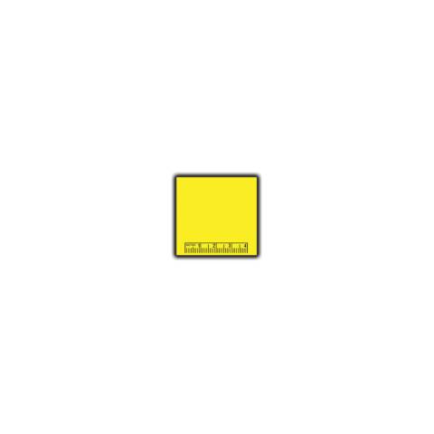 Blank Yellow