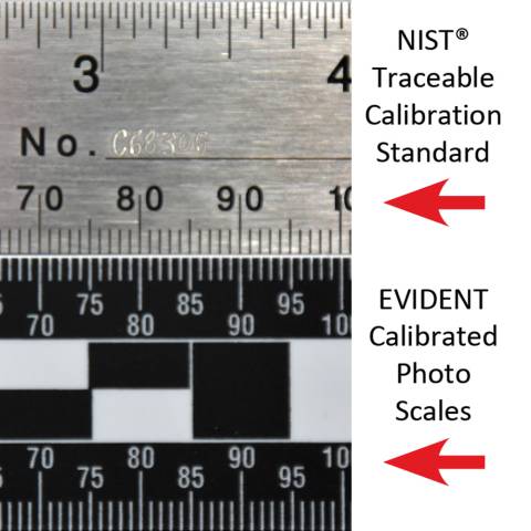 NIST Certified Steel Scale - 6 Scale